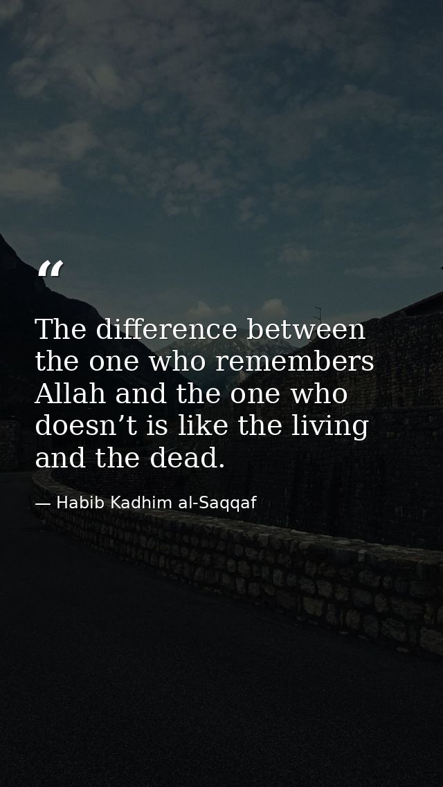 The difference between the one who remembers Allah and the one who doesn’t is like the living and the dead. — Habib Kadhim al-Saqqaf