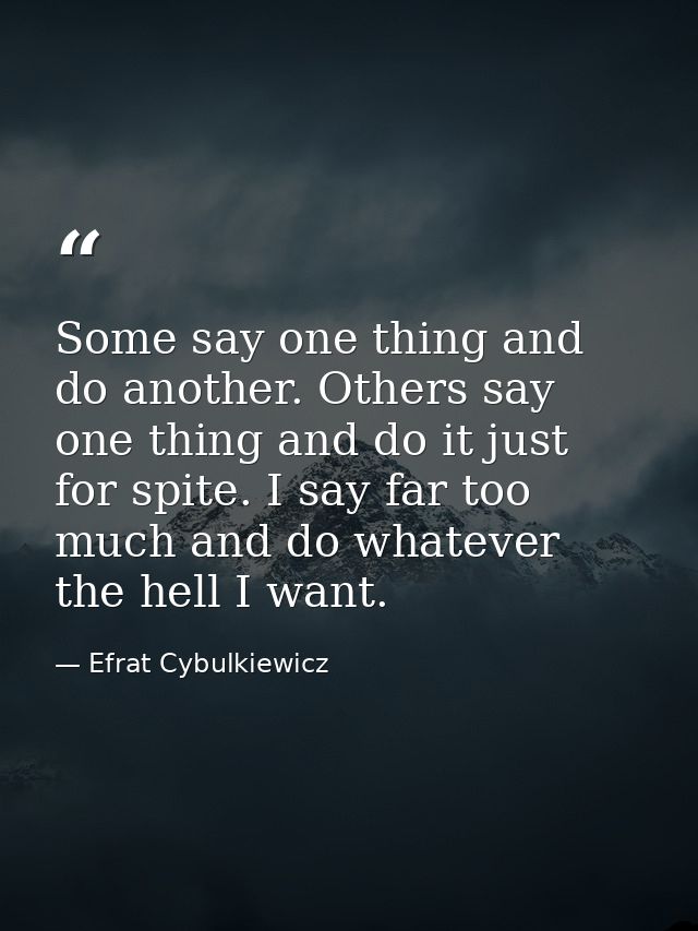 Some say one thing and do another. Others say one thing and do it just for spite. I say far too much and do whatever the — Efrat Cybulkiewicz