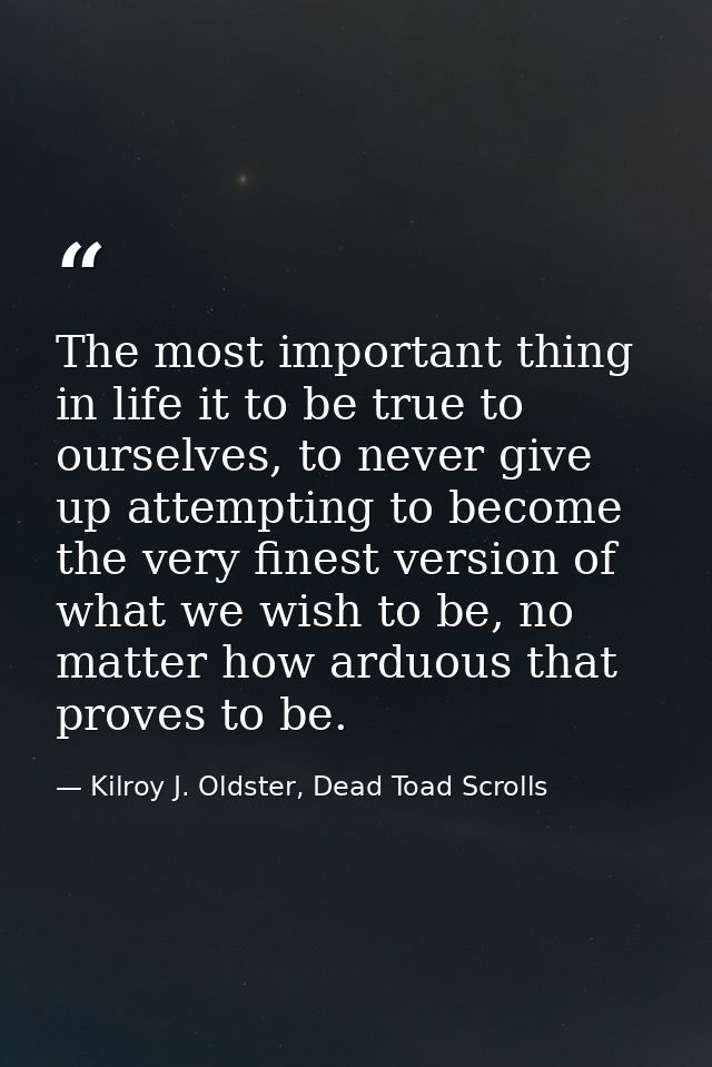 The most important thing in life it to be true to ourselves, to never give up attempting to become the very finest versi — Kilroy J. Oldster, Dead Toad Scrolls