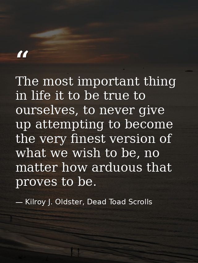 The most important thing in life it to be true to ourselves, to never give up attempting to become the very finest versi — Kilroy J. Oldster, Dead Toad Scrolls