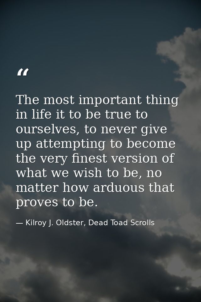 The most important thing in life it to be true to ourselves, to never give up attempting to become the very finest versi — Kilroy J. Oldster, Dead Toad Scrolls