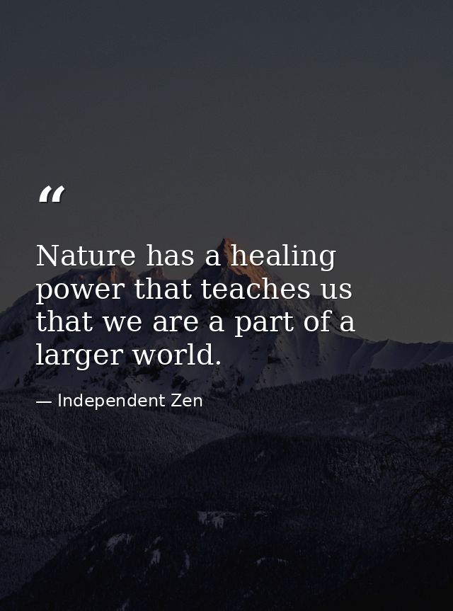 Nature has a healing power that teaches us that we are a part of a larger world. — Independent Zen