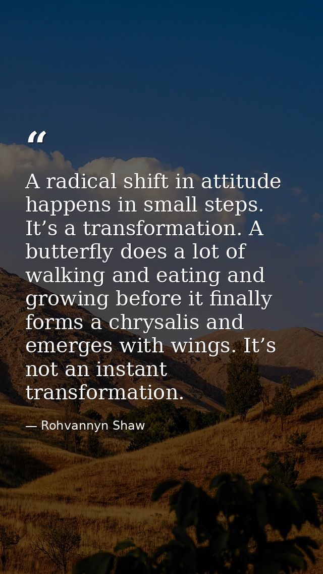 A radical shift in attitude happens in small steps. It’s a transformation. A butterfly does a lot of walking and eating  — Rohvannyn Shaw