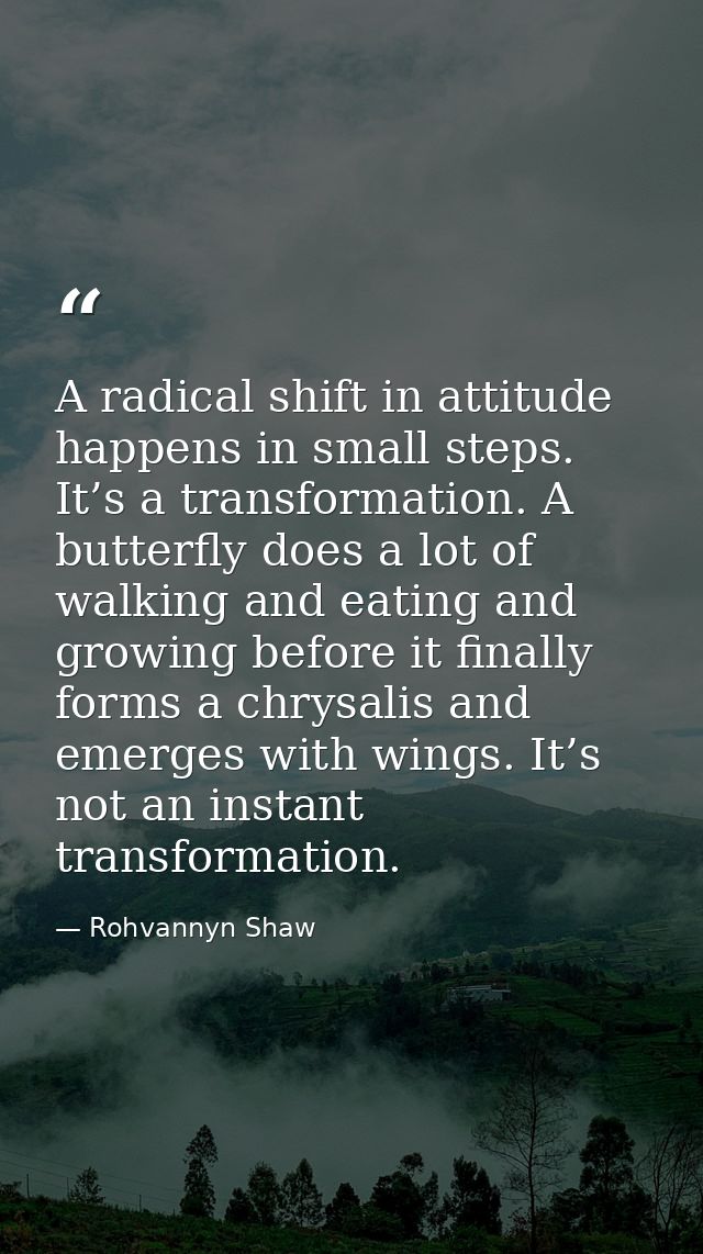 A radical shift in attitude happens in small steps. It’s a transformation. A butterfly does a lot of walking and eating  — Rohvannyn Shaw