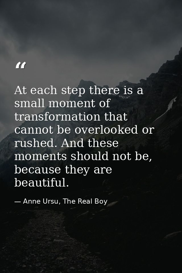 At each step there is a small moment of transformation that cannot be overlooked or rushed. And these moments should not — Anne Ursu, The Real Boy