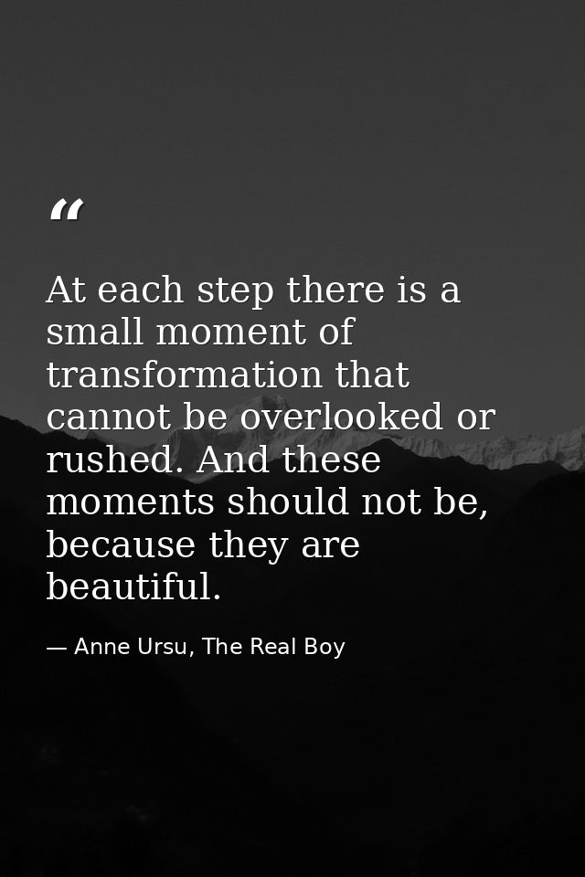 At each step there is a small moment of transformation that cannot be overlooked or rushed. And these moments should not — Anne Ursu, The Real Boy