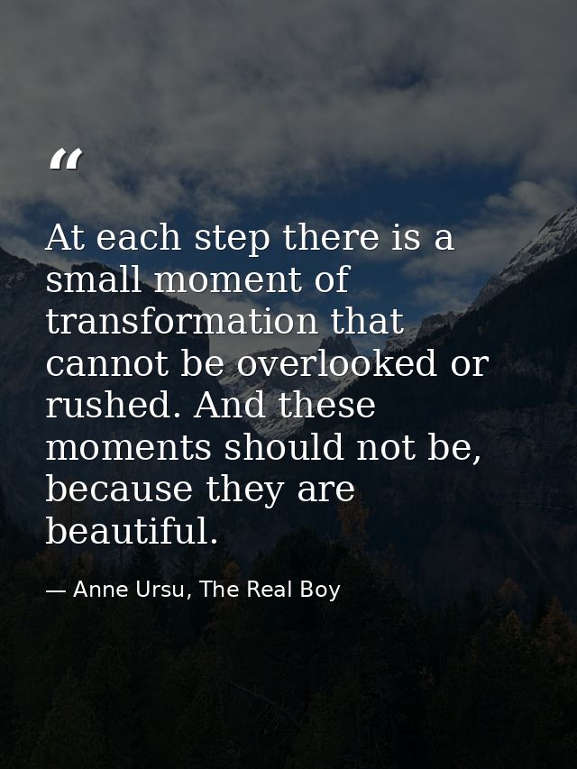 At each step there is a small moment of transformation that cannot be overlooked or rushed. And these moments should not — Anne Ursu, The Real Boy