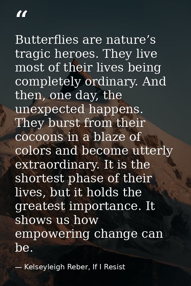 Butterflies are nature’s tragic heroes. They live most of their lives being completely ordinary. And then, one day, the  — Kelseyleigh Reber, If I Resist
