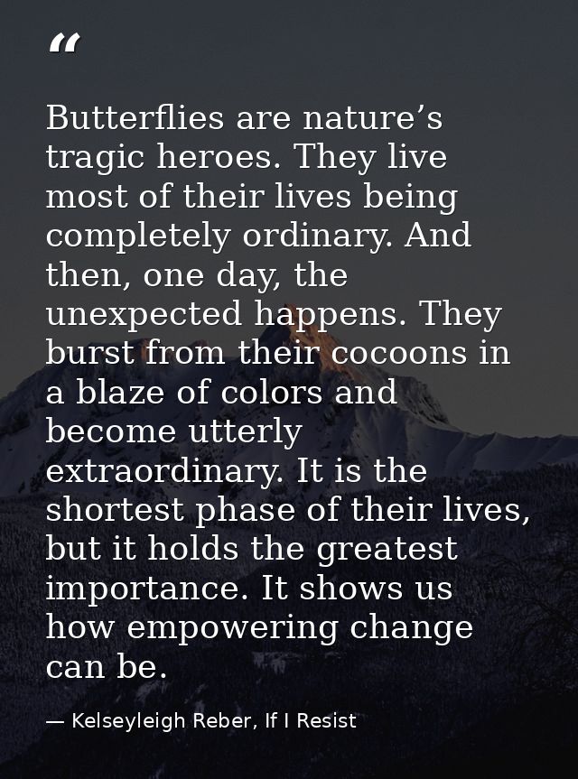 Butterflies are nature’s tragic heroes. They live most of their lives being completely ordinary. And then, one day, the  — Kelseyleigh Reber, If I Resist