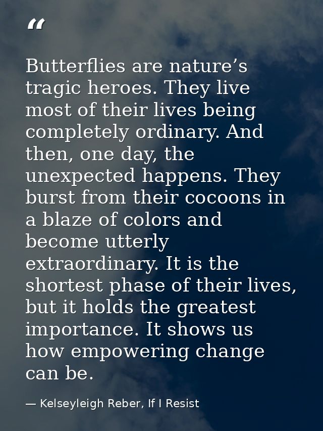 Butterflies are nature’s tragic heroes. They live most of their lives being completely ordinary. And then, one day, the  — Kelseyleigh Reber, If I Resist