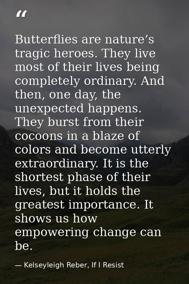 Butterflies are nature’s tragic heroes. They live most of their lives being completely ordinary. And then, one day, the  — Kelseyleigh Reber, If I Resist
