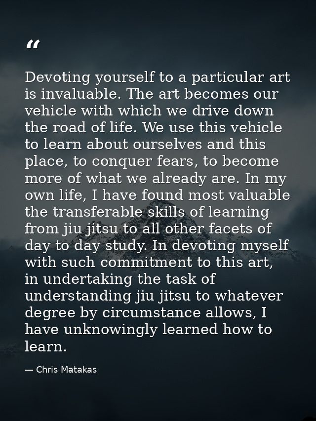 Devoting yourself to a particular art is invaluable. The art becomes our vehicle with which we drive down the road of li — Chris Matakas