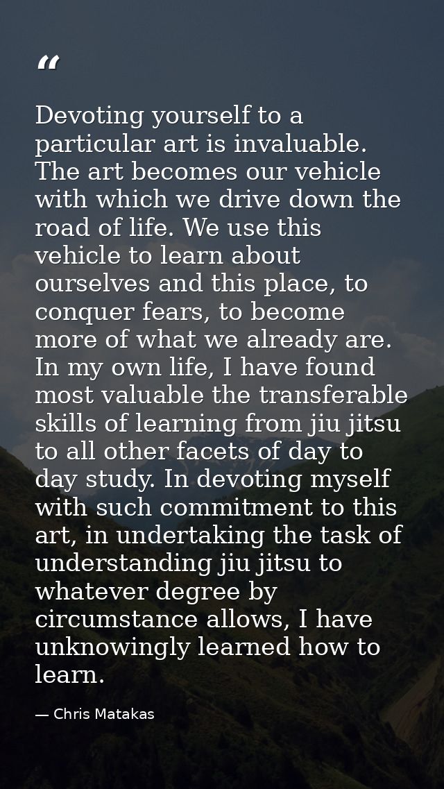 Devoting yourself to a particular art is invaluable. The art becomes our vehicle with which we drive down the road of li — Chris Matakas