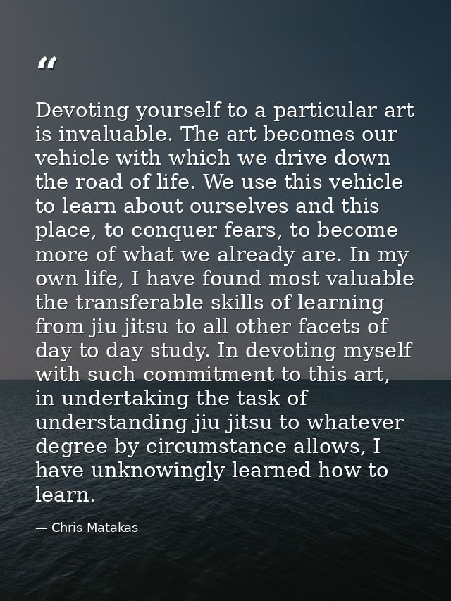 Devoting yourself to a particular art is invaluable. The art becomes our vehicle with which we drive down the road of li — Chris Matakas