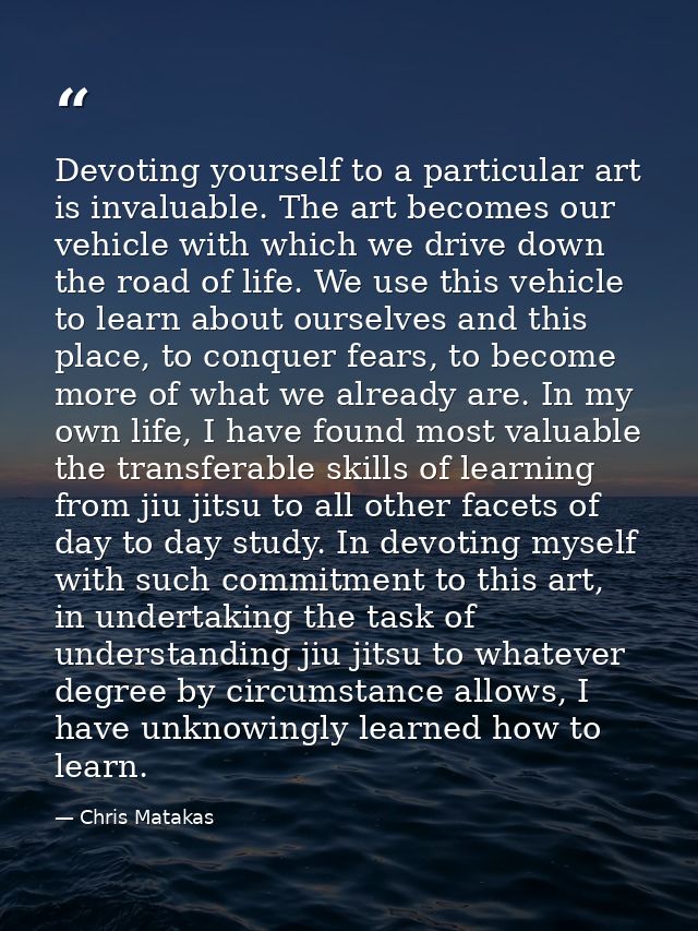 Devoting yourself to a particular art is invaluable. The art becomes our vehicle with which we drive down the road of li — Chris Matakas