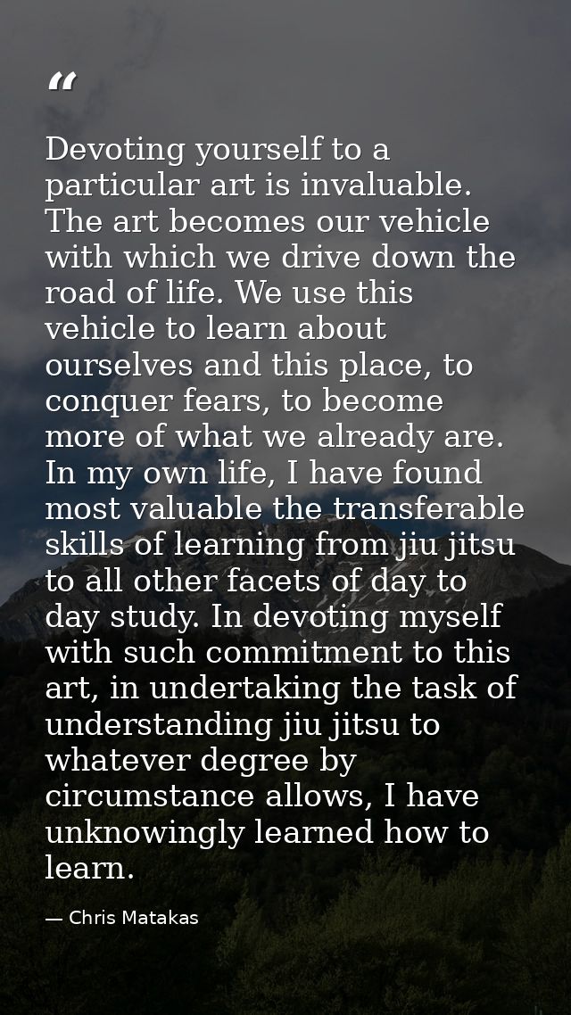 Devoting yourself to a particular art is invaluable. The art becomes our vehicle with which we drive down the road of li — Chris Matakas