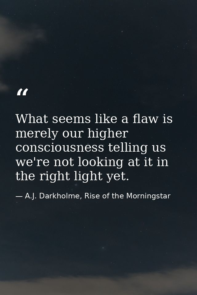 What seems like a flaw is merely our higher consciousness telling us we're not looking at it in the right light yet. — A.J. Darkholme, Rise of the Morningstar