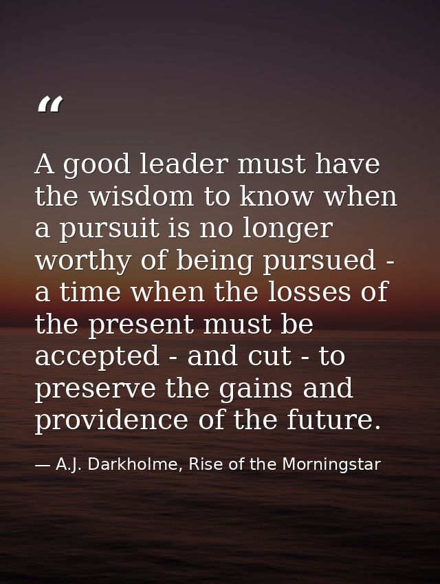A good leader must have the wisdom to know when a pursuit is no longer worthy of being pursued - a time when the losses  — A.J. Darkholme, Rise of the Morningstar