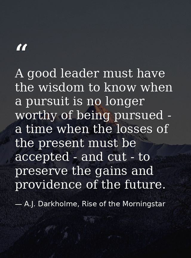 A good leader must have the wisdom to know when a pursuit is no longer worthy of being pursued - a time when the losses  — A.J. Darkholme, Rise of the Morningstar