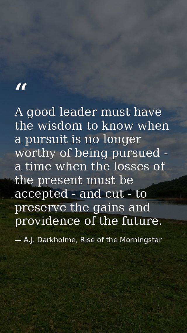 A good leader must have the wisdom to know when a pursuit is no longer worthy of being pursued - a time when the losses  — A.J. Darkholme, Rise of the Morningstar