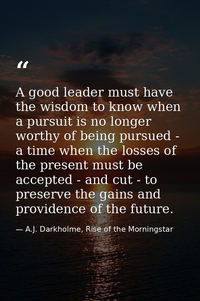 A good leader must have the wisdom to know when a pursuit is no longer worthy of being pursued - a time when the losses  — A.J. Darkholme, Rise of the Morningstar