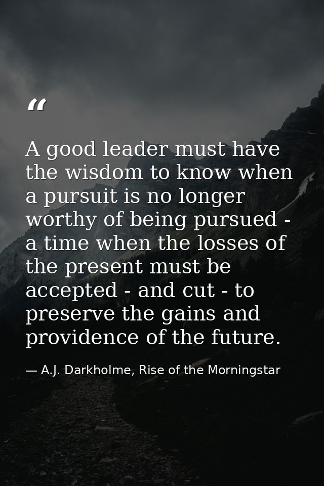 A good leader must have the wisdom to know when a pursuit is no longer worthy of being pursued - a time when the losses  — A.J. Darkholme, Rise of the Morningstar