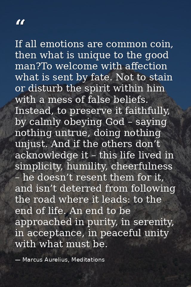 If all emotions are common coin, then what is unique to the good man?To welcome with affection what is sent by fate. Not — Marcus Aurelius, Meditations