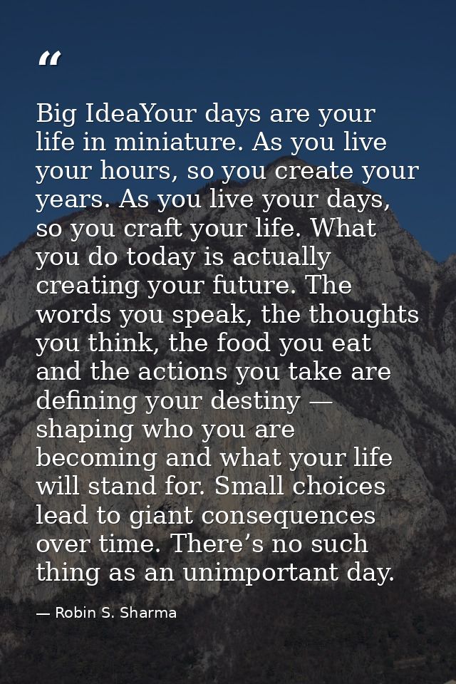 Big IdeaYour days are your life in miniature. As you live your hours, so you create your years. As you live your days, s — Robin S. Sharma
