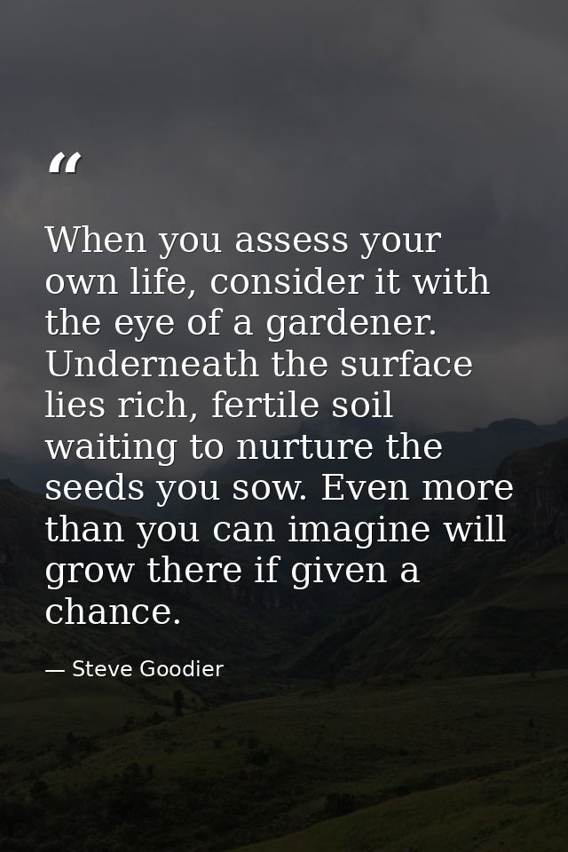 When you assess your own life, consider it with the eye of a gardener. Underneath the surface lies rich, fertile soil wa — Steve Goodier