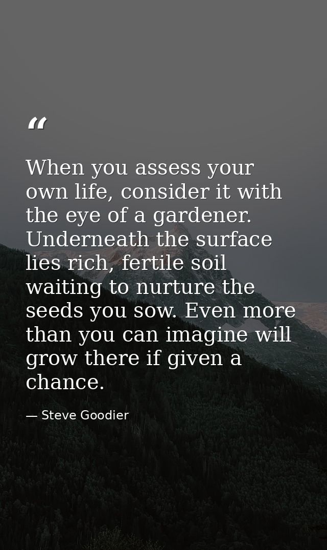 When you assess your own life, consider it with the eye of a gardener. Underneath the surface lies rich, fertile soil wa — Steve Goodier