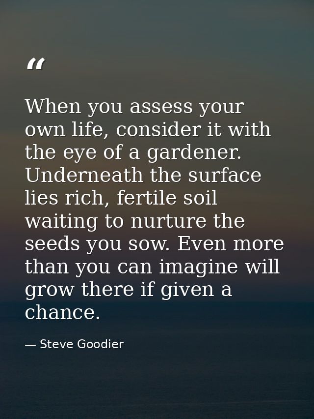 When you assess your own life, consider it with the eye of a gardener. Underneath the surface lies rich, fertile soil wa — Steve Goodier