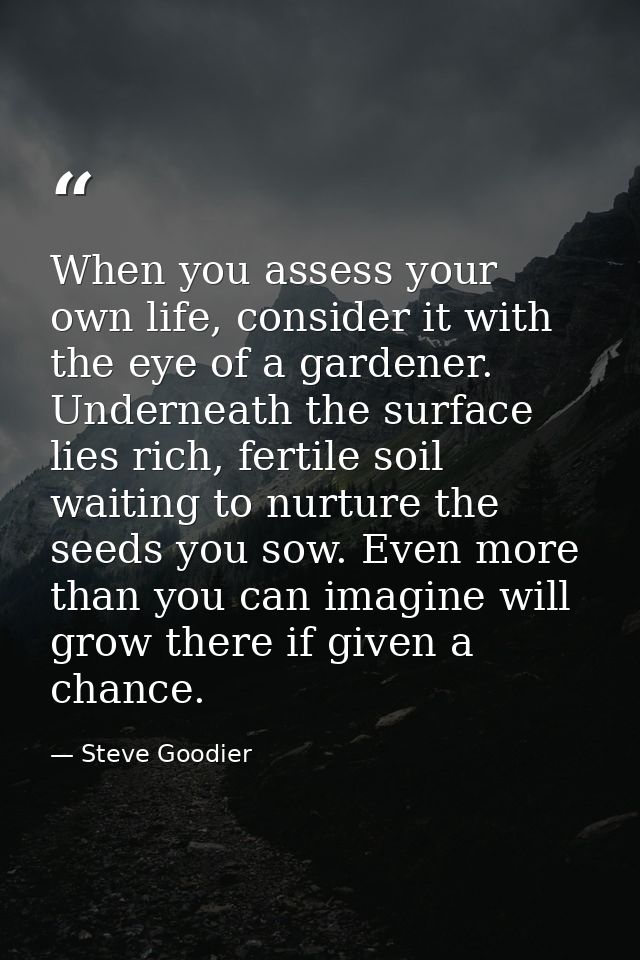 When you assess your own life, consider it with the eye of a gardener. Underneath the surface lies rich, fertile soil wa — Steve Goodier