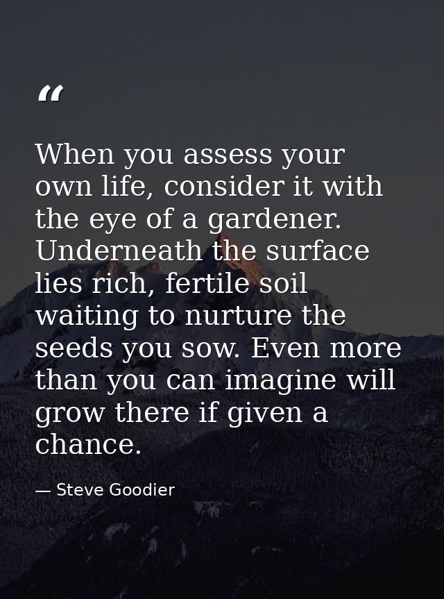 When you assess your own life, consider it with the eye of a gardener. Underneath the surface lies rich, fertile soil wa — Steve Goodier