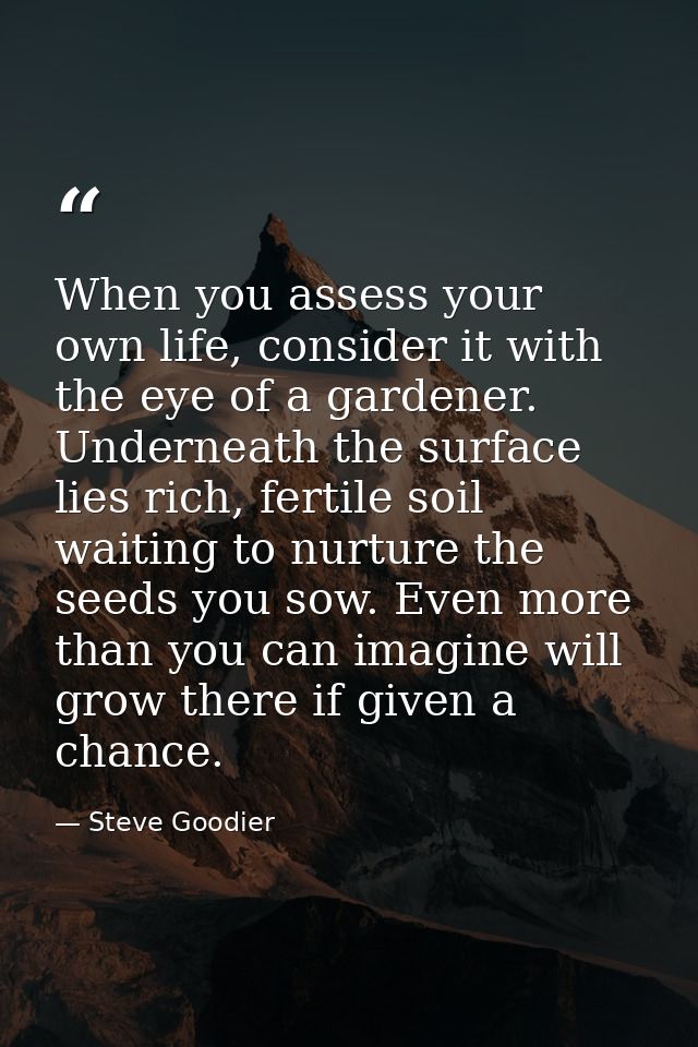 When you assess your own life, consider it with the eye of a gardener. Underneath the surface lies rich, fertile soil wa — Steve Goodier