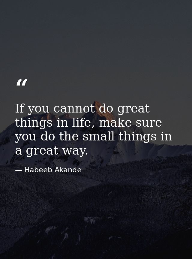 If you cannot do great things in life, make sure you do the small things in a great way. — Habeeb Akande