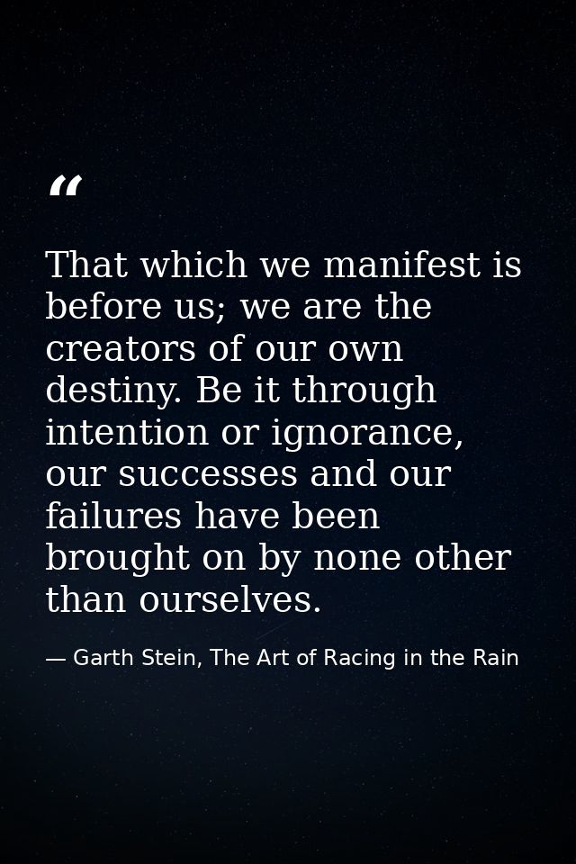 That which we manifest is before us; we are the creators of our own destiny. Be it through intention or ignorance, our s — Garth Stein, The Art of Racing in the Rain