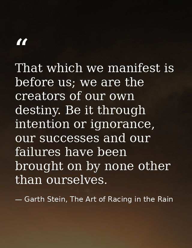 That which we manifest is before us; we are the creators of our own destiny. Be it through intention or ignorance, our s — Garth Stein, The Art of Racing in the Rain