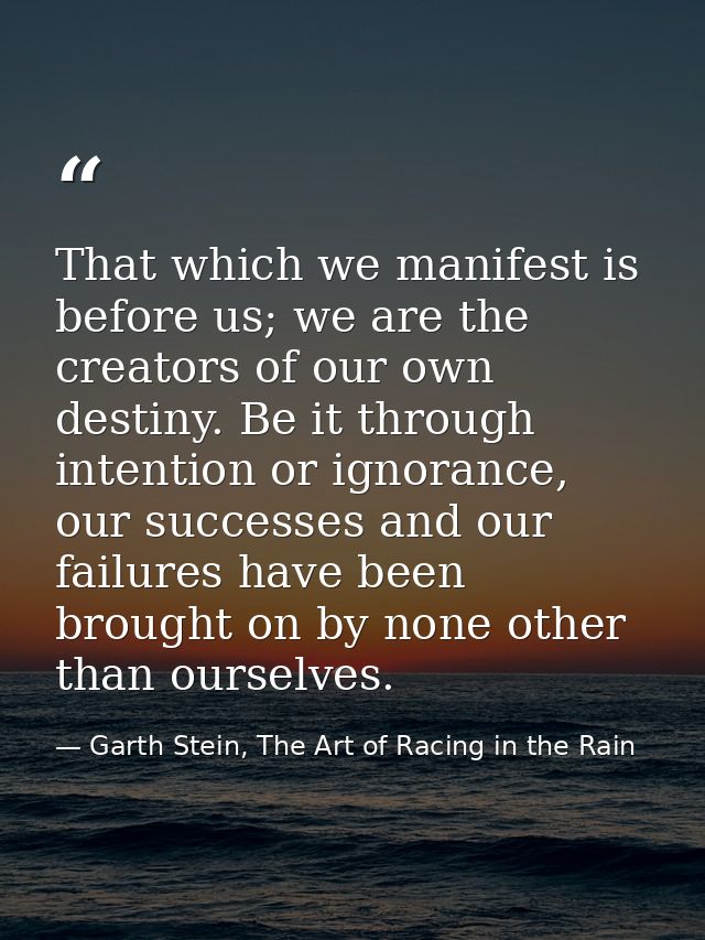 That which we manifest is before us; we are the creators of our own destiny. Be it through intention or ignorance, our s — Garth Stein, The Art of Racing in the Rain
