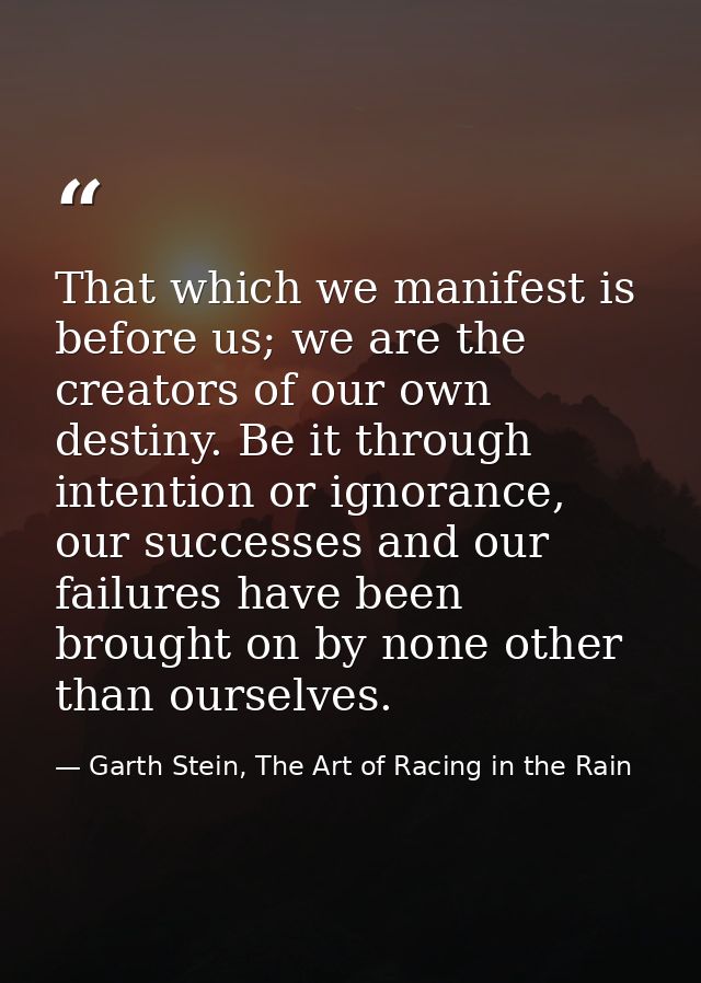 That which we manifest is before us; we are the creators of our own destiny. Be it through intention or ignorance, our s — Garth Stein, The Art of Racing in the Rain