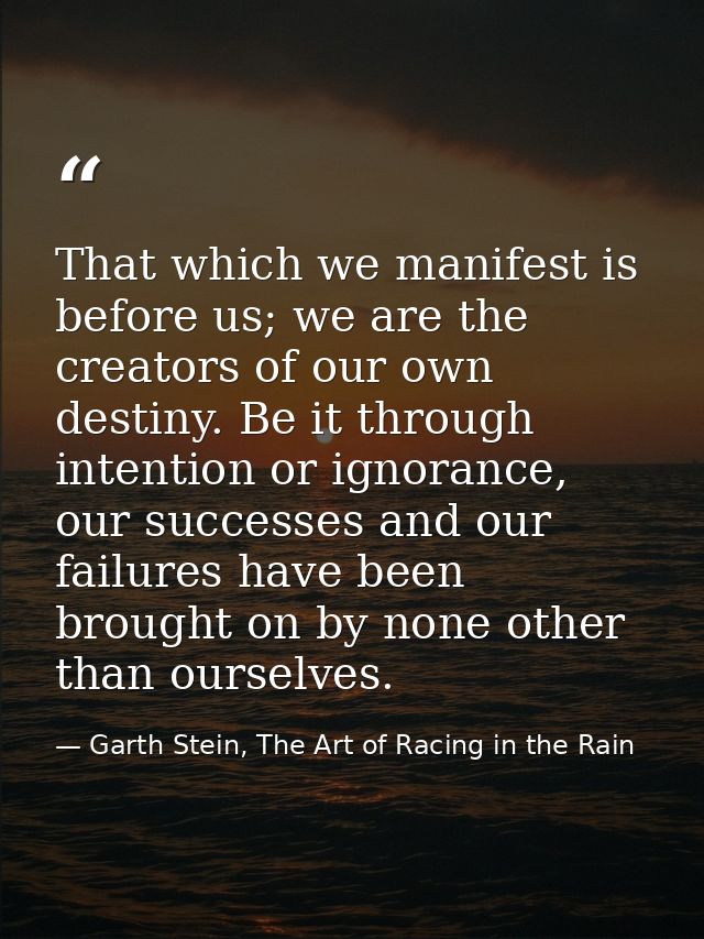 That which we manifest is before us; we are the creators of our own destiny. Be it through intention or ignorance, our s — Garth Stein, The Art of Racing in the Rain