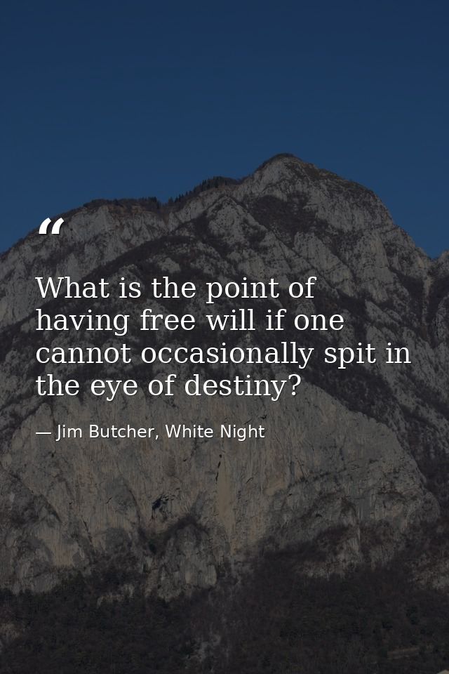 What is the point of having free will if one cannot occasionally spit in the eye of destiny? — Jim Butcher, White Night