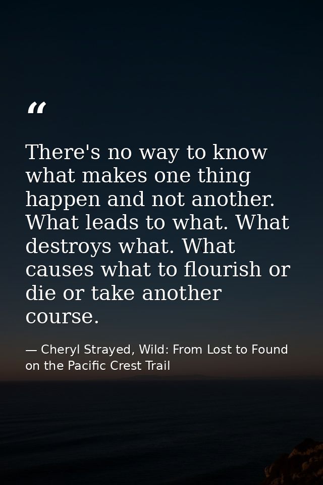 There's no way to know what makes one thing happen and not another. What leads to what. What destroys what. What causes  — Cheryl Strayed, Wild: From Lost to Found on the Pacific Crest Trail