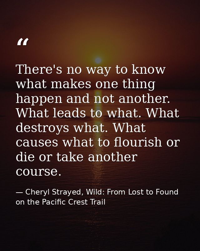 There's no way to know what makes one thing happen and not another. What leads to what. What destroys what. What causes  — Cheryl Strayed, Wild: From Lost to Found on the Pacific Crest Trail