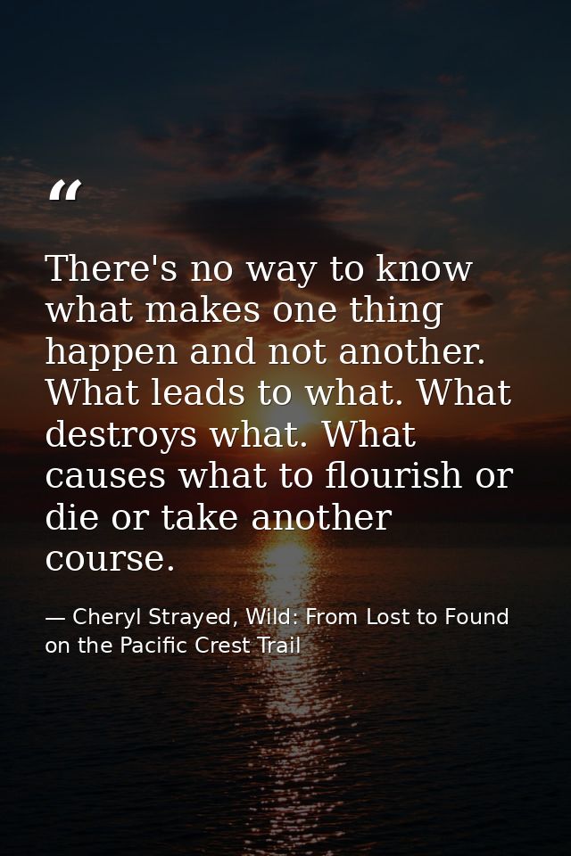 There's no way to know what makes one thing happen and not another. What leads to what. What destroys what. What causes  — Cheryl Strayed, Wild: From Lost to Found on the Pacific Crest Trail