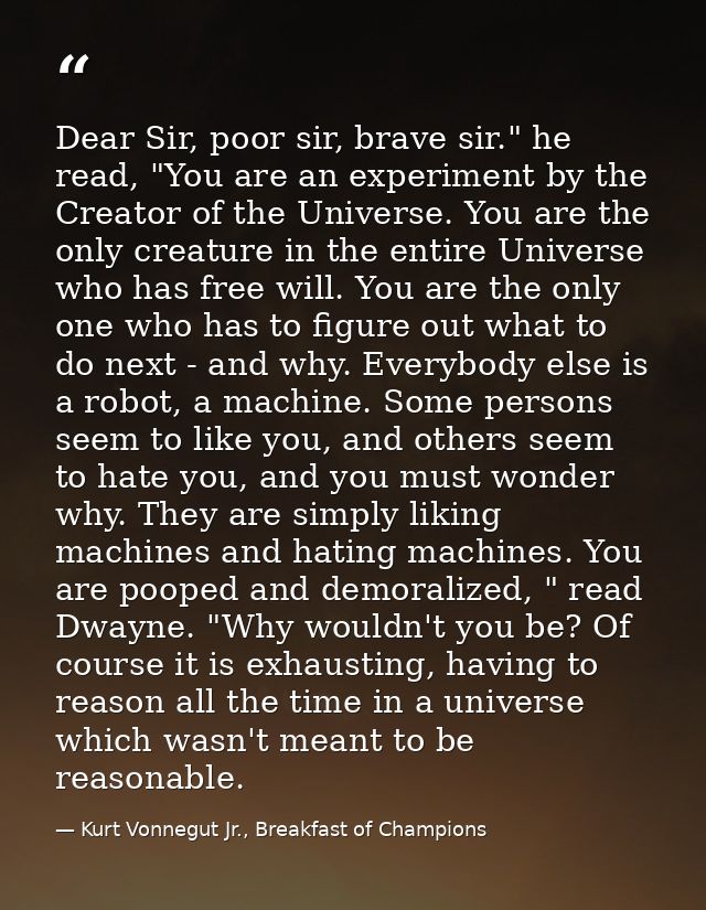 Dear Sir, poor sir, brave sir." he read, "You are an experiment by the Creator of the Universe. You are the only creatur — Kurt Vonnegut Jr., Breakfast of Champions