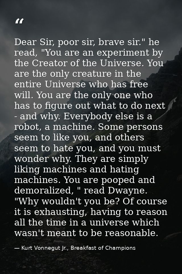 Dear Sir, poor sir, brave sir." he read, "You are an experiment by the Creator of the Universe. You are the only creatur — Kurt Vonnegut Jr., Breakfast of Champions