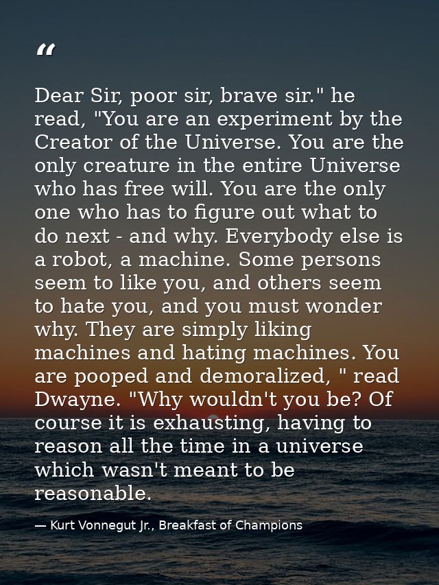 Dear Sir, poor sir, brave sir." he read, "You are an experiment by the Creator of the Universe. You are the only creatur — Kurt Vonnegut Jr., Breakfast of Champions
