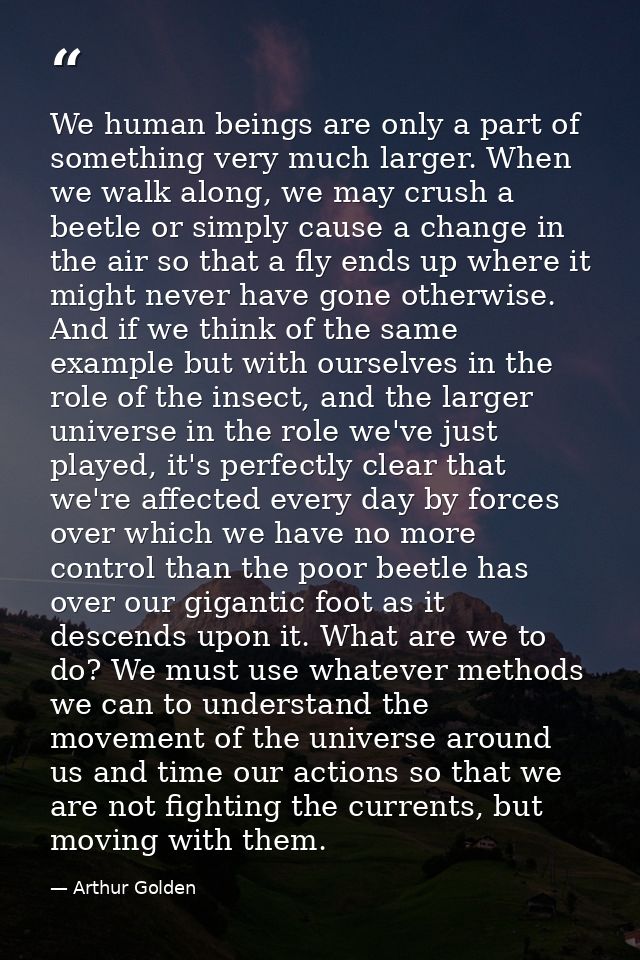 We human beings are only a part of something very much larger. When we walk along, we may crush a beetle or simply cause — Arthur Golden