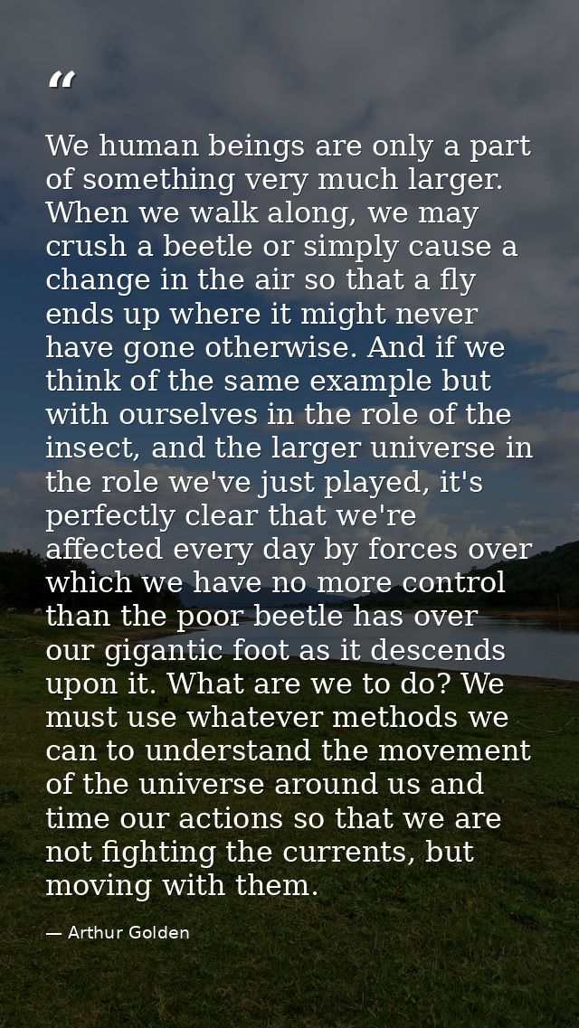 We human beings are only a part of something very much larger. When we walk along, we may crush a beetle or simply cause — Arthur Golden