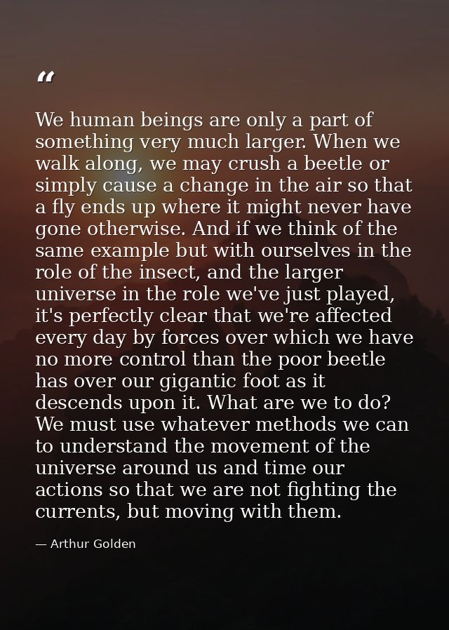 We human beings are only a part of something very much larger. When we walk along, we may crush a beetle or simply cause — Arthur Golden